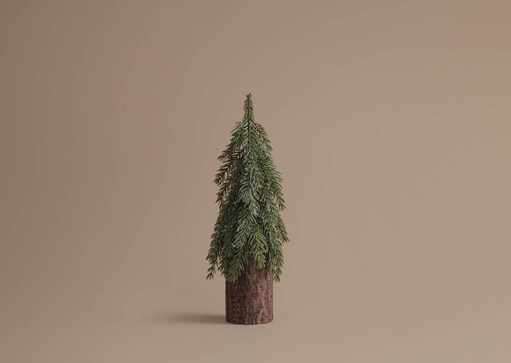Seymour Tree Small