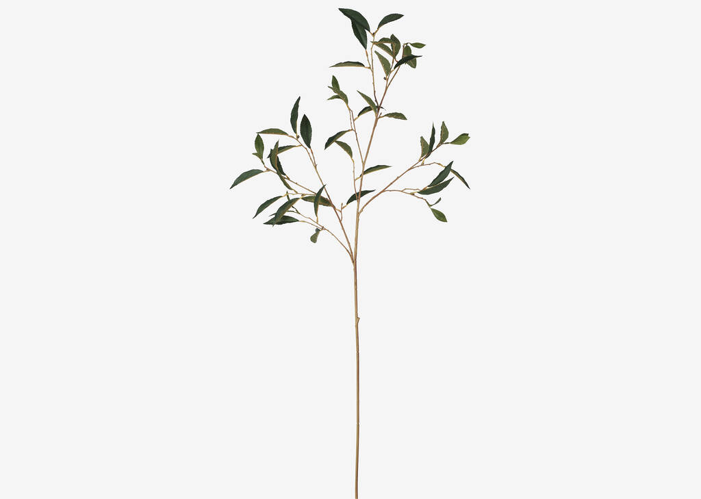 Elena Laurel Spray Branch