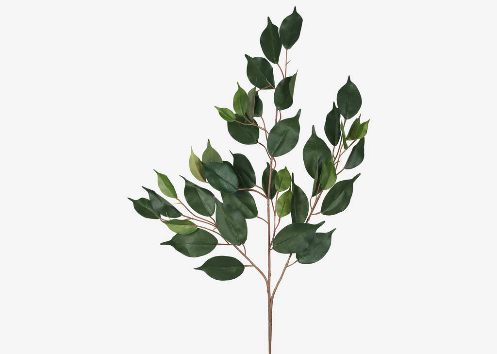 Letha Ficus Spray Branch