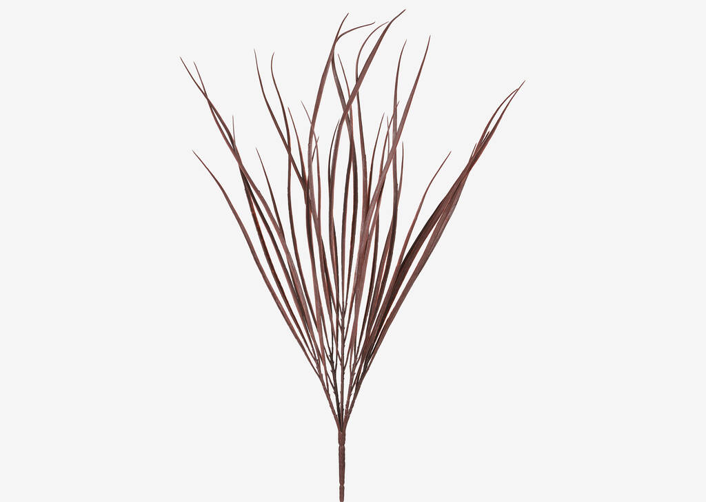 Gracelyn Elephant Grass Bush